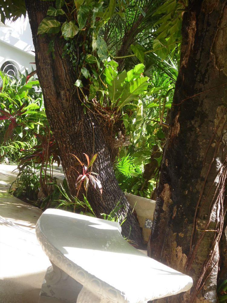 Tropical Casablanca Party Zone Hotel Playa del Carmen Exterior foto