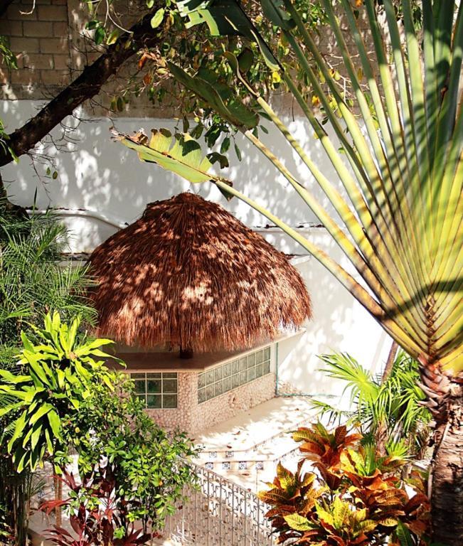 Tropical Casablanca Party Zone Hotel Playa del Carmen Exterior foto