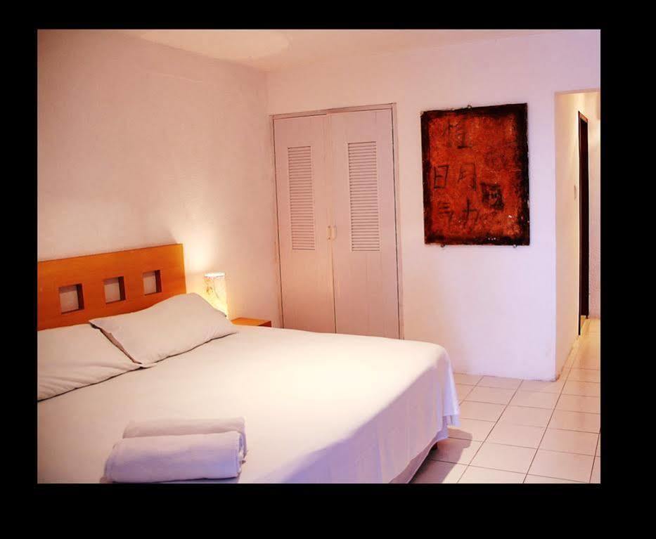 Tropical Casablanca Party Zone Hotel Playa del Carmen Exterior foto