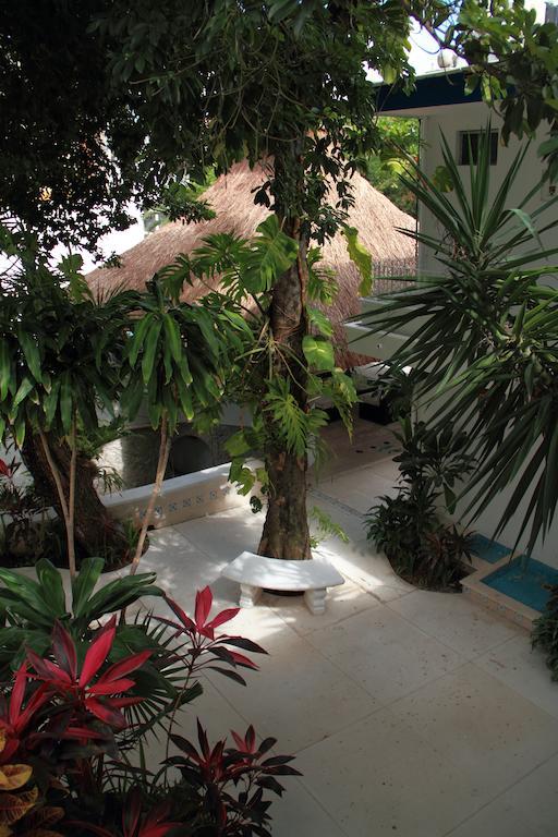 Tropical Casablanca Party Zone Hotel Playa del Carmen Exterior foto